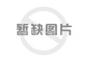 裝藥發射安全性實驗系統